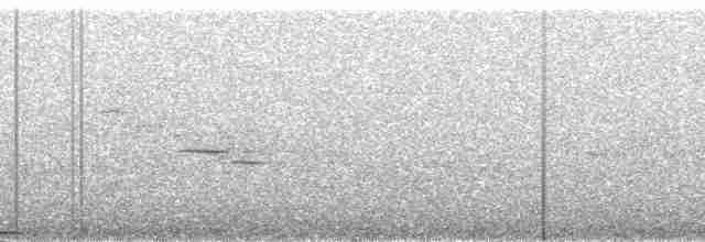 holub bledolící - ML56631