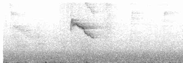 Seychellennektarvogel - ML566334301