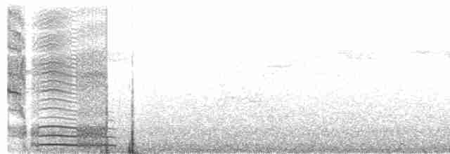 Wedge-tailed Shearwater - ML566335571