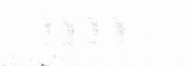 hvitnakkehonningeter - ML566343861