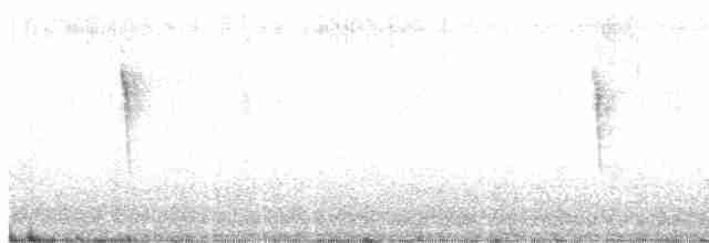 Yellow-throated Warbler - ML566345691