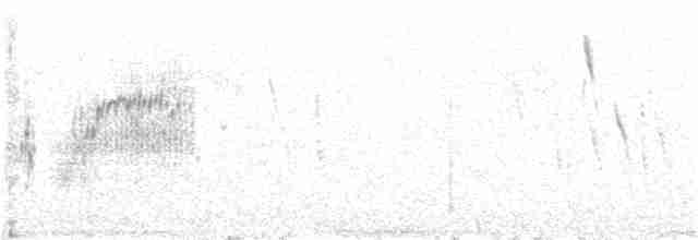 Патагонский конёк [группа correndera] - ML56635641