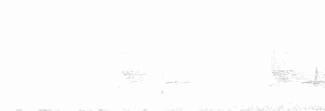 Серый павлиний фазан - ML566493711