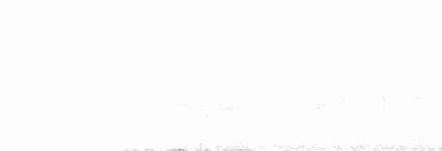 Серый павлиний фазан - ML566493721