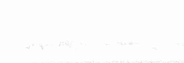 Серый павлиний фазан - ML566493731