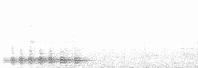 Серый павлиний фазан - ML566493741