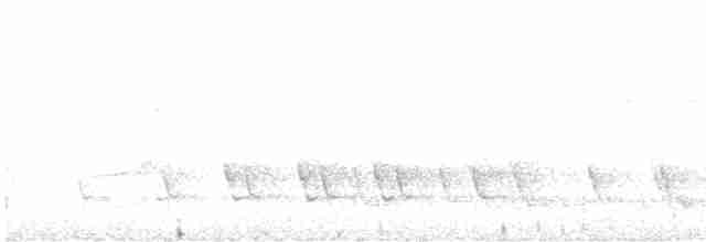 Серый павлиний фазан - ML566493751