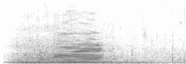 黑腳信天翁 - ML566525231