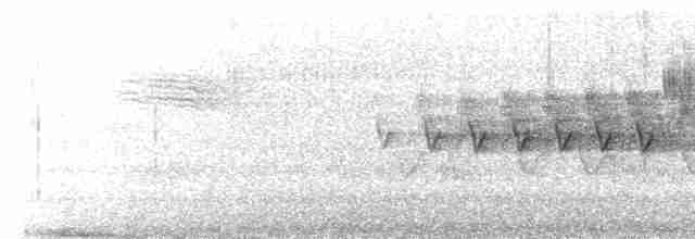 Cerulean Warbler - ML566645311