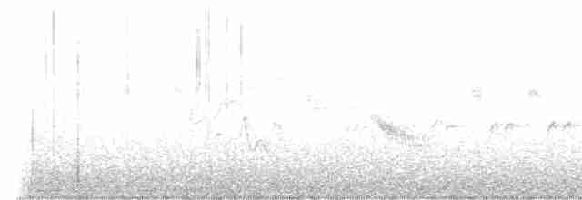 Black-throated Gray Warbler - ML566706381