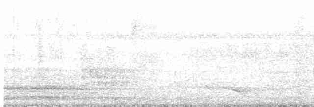 Luzonschneidervogel - ML566750211