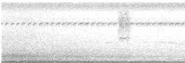 Черногорлая нектарница - ML566752061