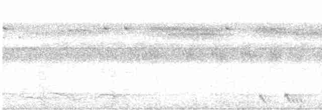 Ромблонская иглоногая сова - ML566756461