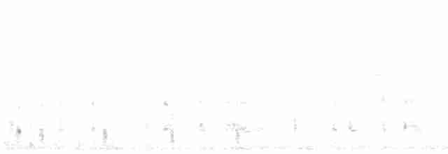 Red-legged Partridge - ML566812301