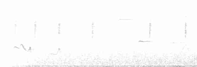 ニシノドグロアメリカムシクイ - ML566818691