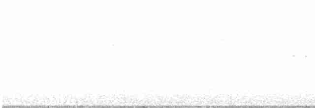 Hermit Warbler - ML566824301