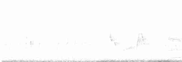 White-eyed Vireo - ML566970501