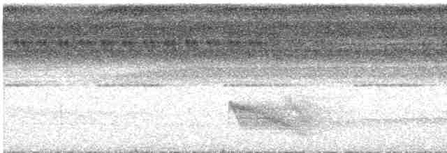 Rotspiegel-Ameisenvogel - ML566981191