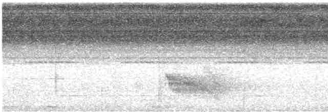 Rotspiegel-Ameisenvogel - ML566982371