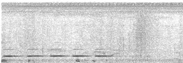 chřástalík běloskvrnný - ML566993521