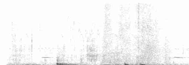 Сичик-горобець гірський - ML567005251