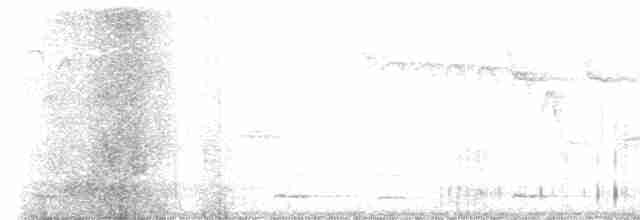 Chevêchette naine - ML567005261