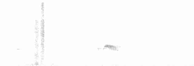 Tourterelle à ailes blanches - ML567006121