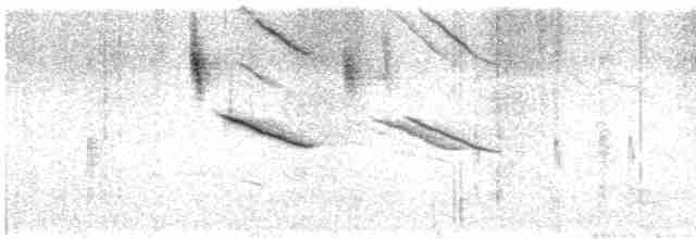 Al Kanatlı Karatavuk (californicus/mailliardorum) - ML567007131
