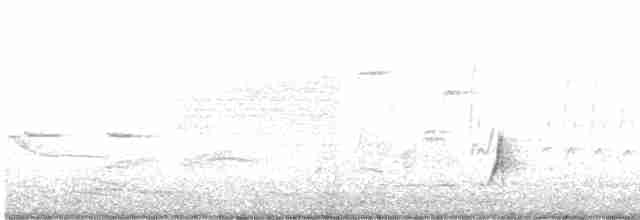 Brown-crested Flycatcher - ML567122211
