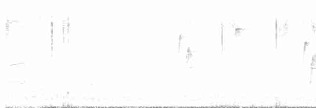 Gray Catbird - ML567124191
