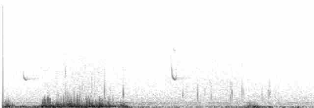 White-tailed Kite - ML567168311