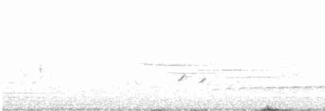 Pileated Woodpecker - ML567193201