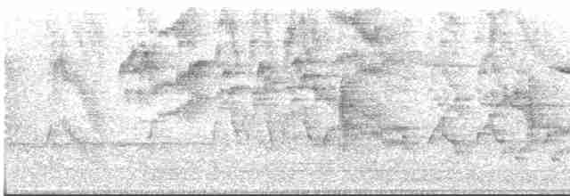 Дрізд-короткодзьоб малий - ML567193421