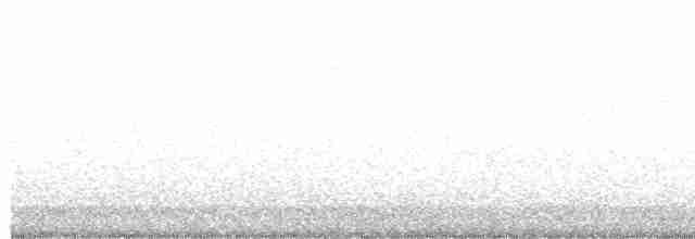 Gallinule poule-d'eau - ML567219901