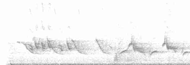 Тремблер прямодзьобий - ML567222401