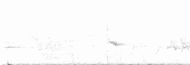 Kentucky Warbler - ML567228511