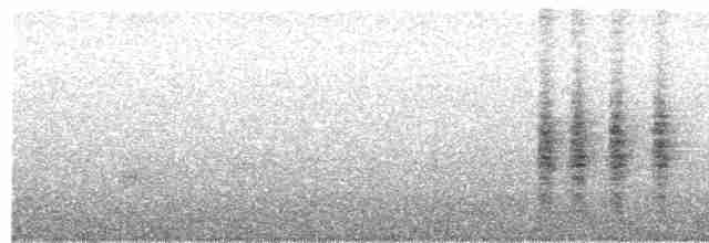  - Seychelles Warbler