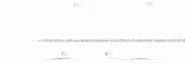 Large-tailed Nightjar - ML567281221