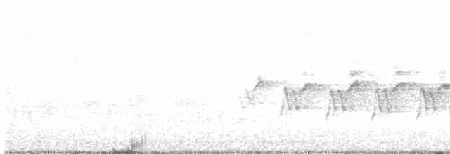 Kentucky Warbler - ML567302711