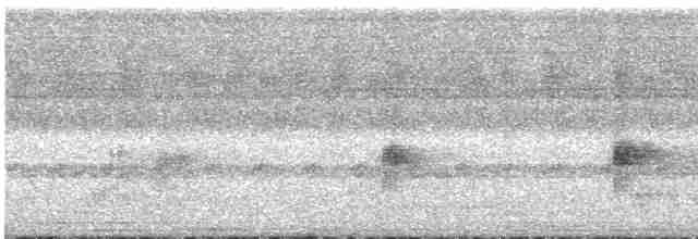 Black-headed Paradise-Flycatcher (Red-bellied) - ML567350391
