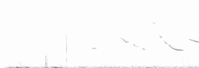 Chihuahuan Meadowlark - ML567405401
