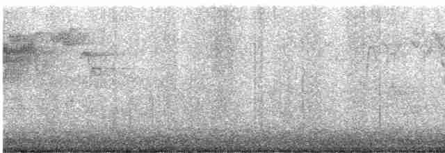 Cerulean Warbler - ML567480361