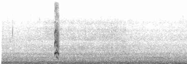 裏海燕鷗 - ML567483621