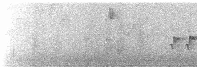 Mosquitero de Pallas - ML567527461