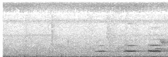 Kestane Sırtlı Serçe Baykuşu - ML567600571