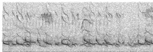 Пестроголовая чубатка - ML567617811