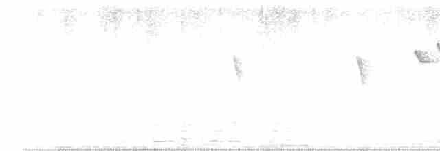Ornate Sunbird - ML567643021
