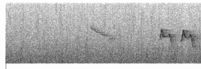 Gray-cheeked Warbler - ML567671021