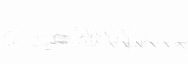 Пінсон чорнодзьобий - ML567754401