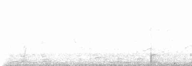 Дрізд-короткодзьоб Cвенсона [група ustulatus] - ML567858771